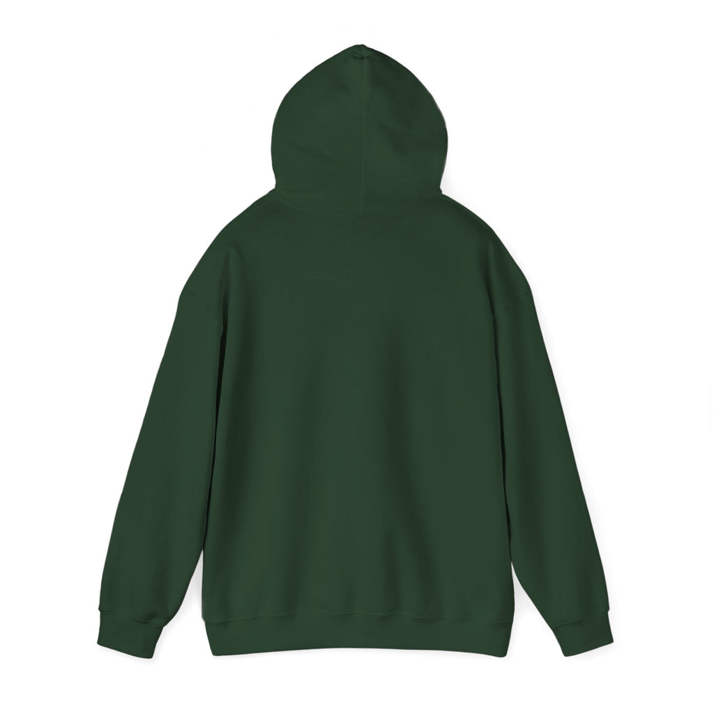 Behold The New Has Come Adult Hoodie
