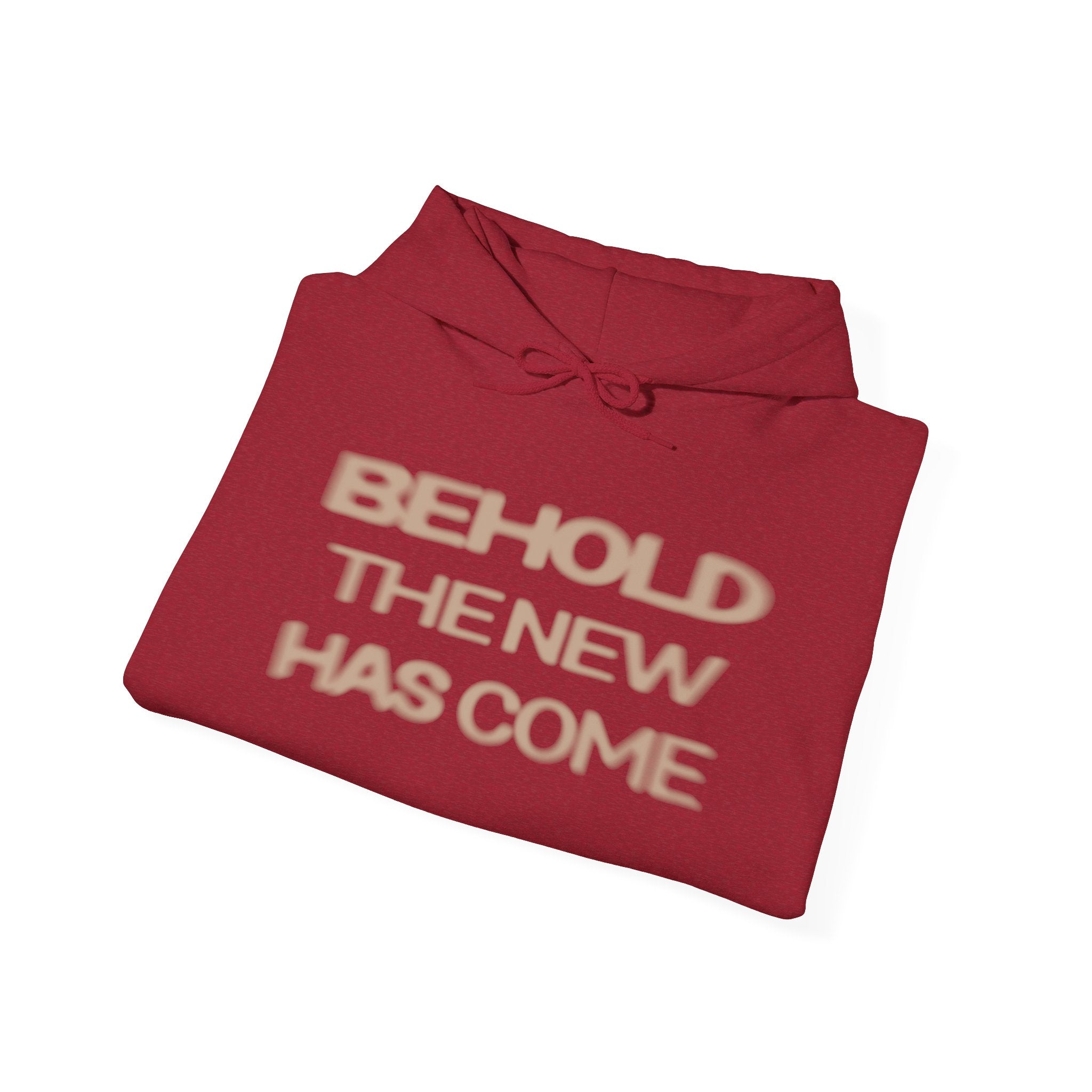 Behold The New Has Come Adult Hoodie