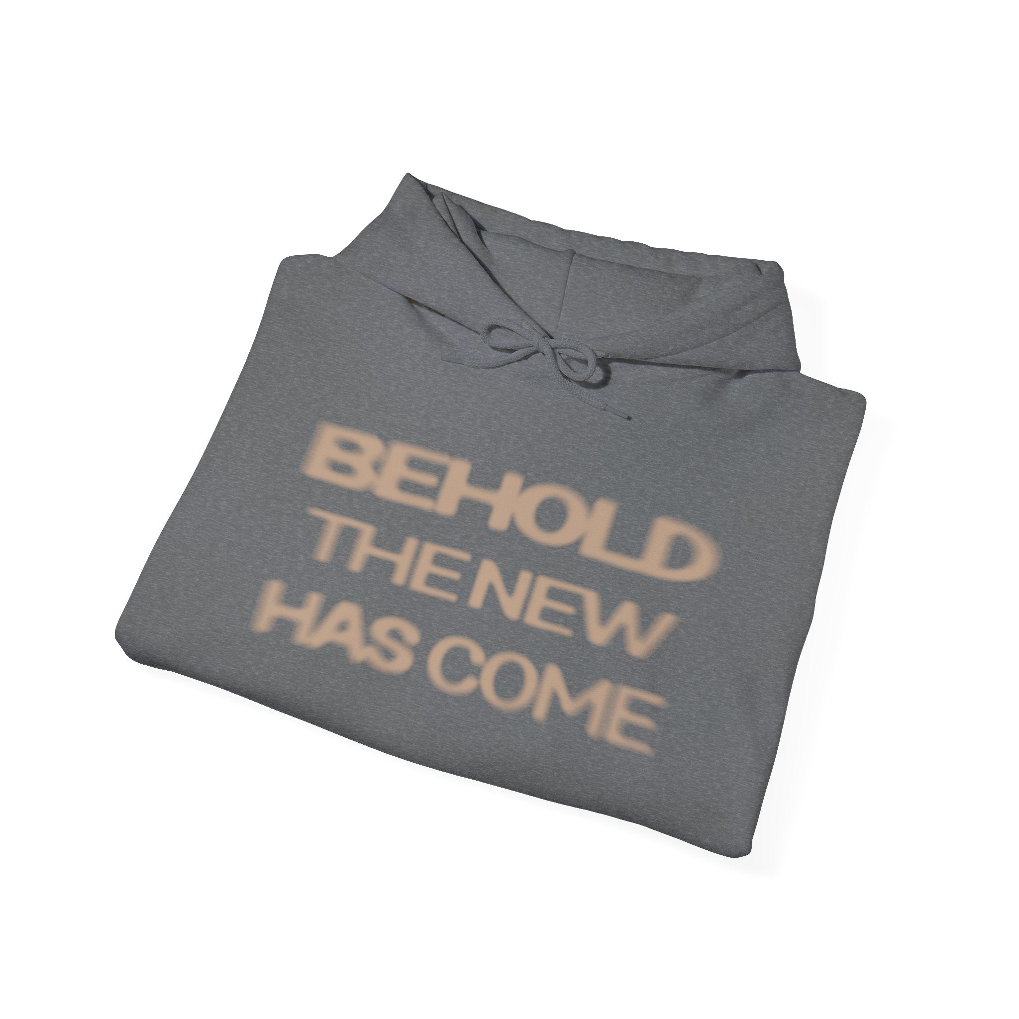 Behold The New Has Come Adult Hoodie
