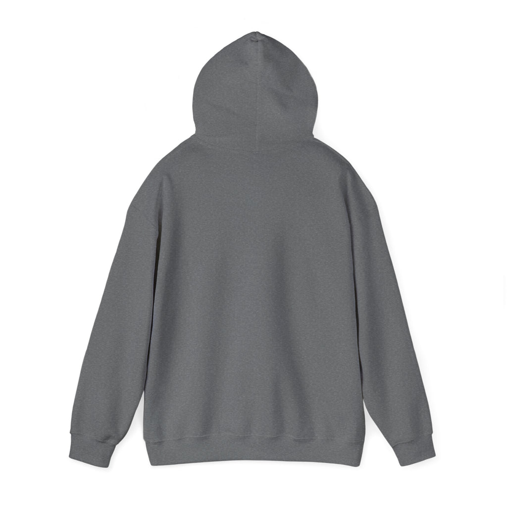 Behold The New Has Come Adult Hoodie