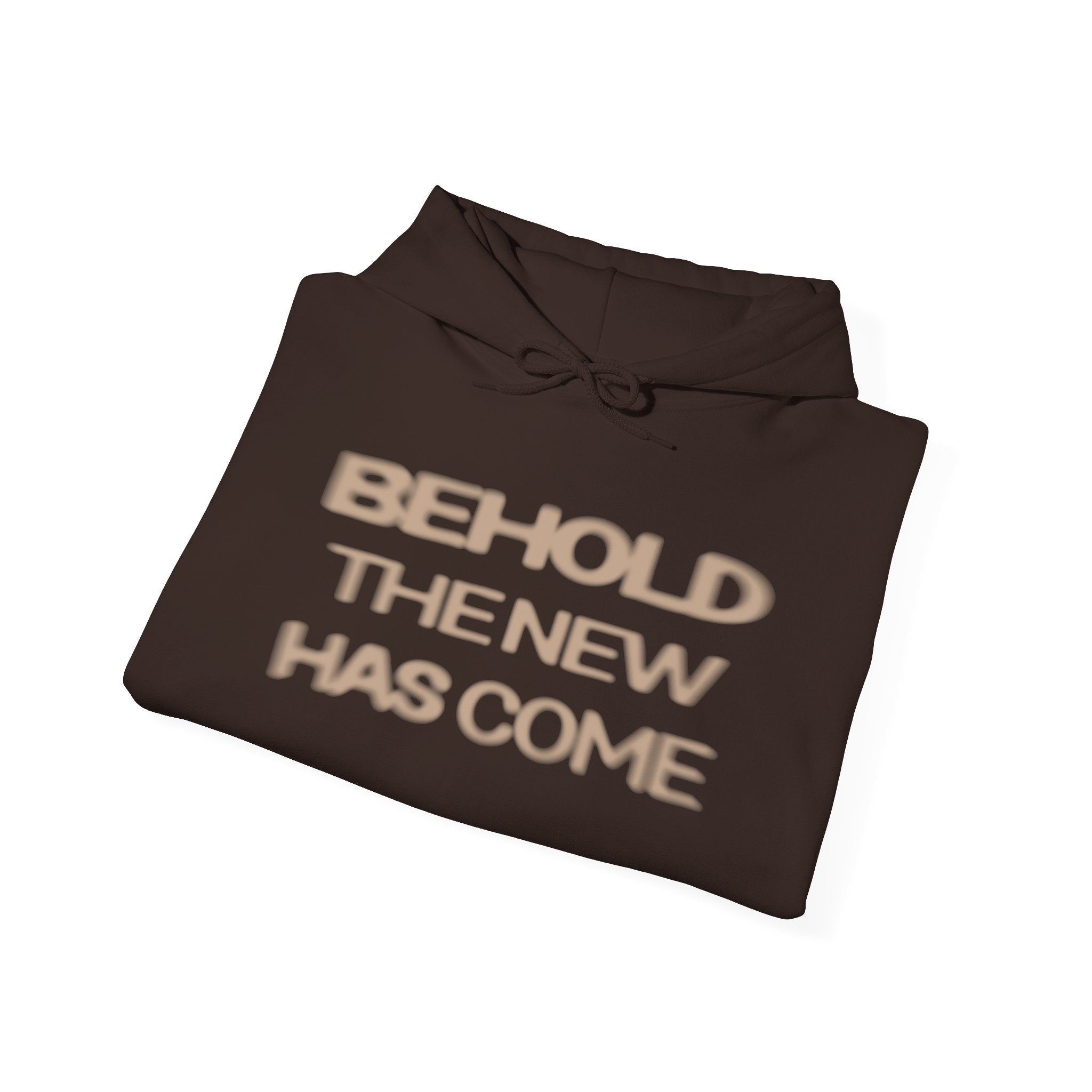 Behold The New Has Come Adult Hoodie