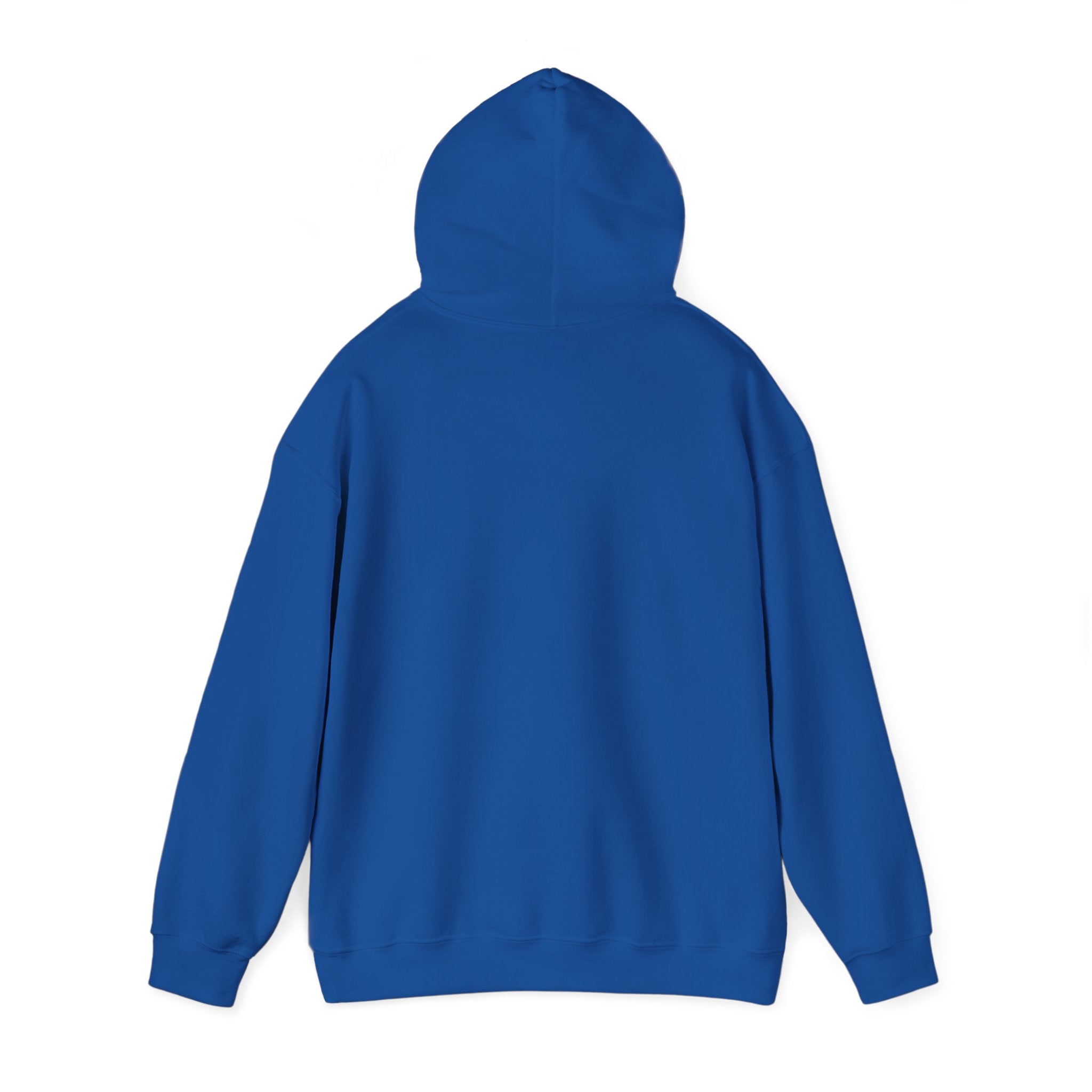 Behold The New Has Come Adult Hoodie