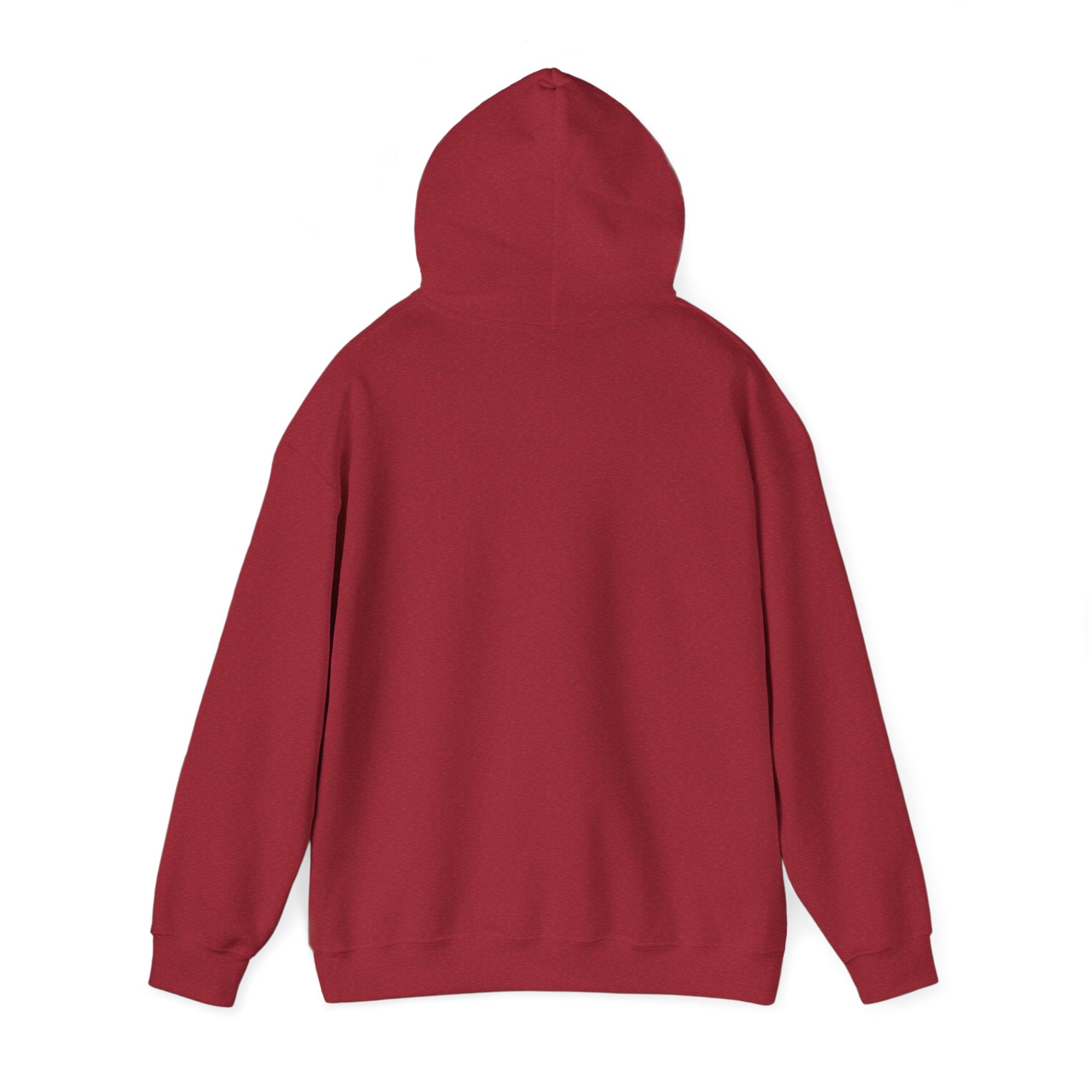 Behold The New Has Come Adult Hoodie